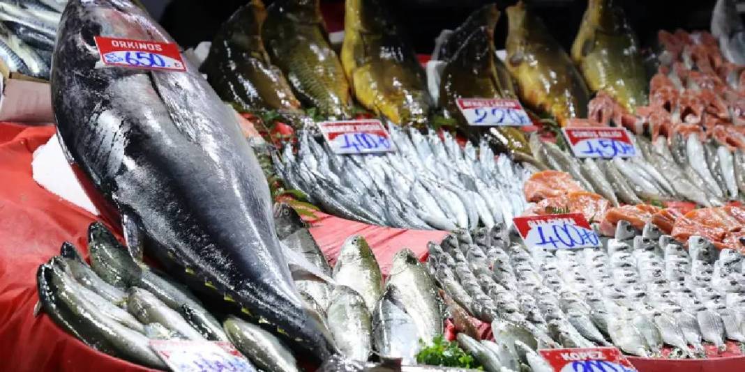 Akdeniz kıyılarında dev av: 1 metre 40 santim boyunda, kilosu 650 TL 4